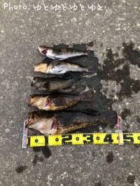 �����Υ���Х�