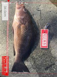 ¥ª¥ª¥â¥ó¥Ï¥¿