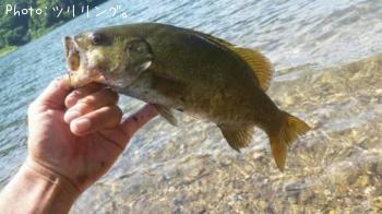 ���⡼��ޥ����Х�