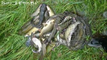 ����åȥե��å���