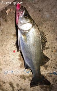 �ҥ饹����