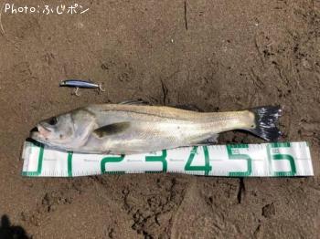 �����Х�