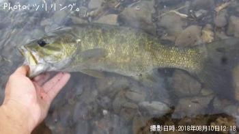 ¥¹¥â¡¼¥ë¥Þ¥¦¥¹¥Ð¥¹