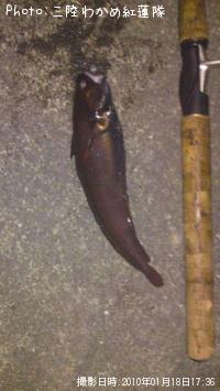 �������������ʥ�