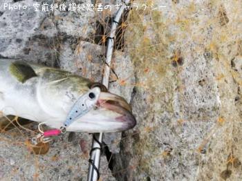 �����Х�