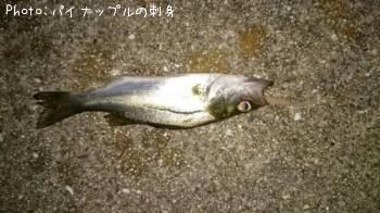 �����Х�