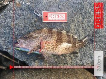 ¥ª¥ª¥â¥ó¥Ï¥¿