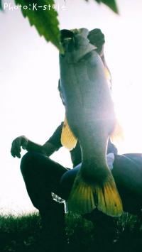 ¥Ö¥é¥Ã¥¯¥Ð¥¹