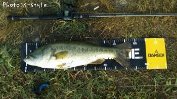 ¥Ö¥é¥Ã¥¯¥Ð¥¹