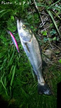 �����Х�