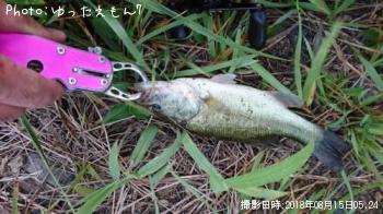 �֥�å��Х�