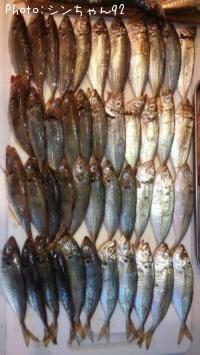 ����������¾