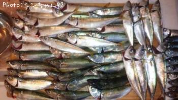 ����������¾