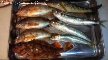 ����������¾