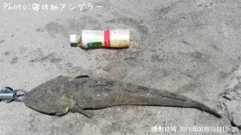 �ޥ���