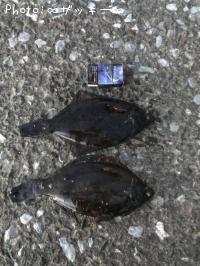 ¥Þ¥³¥¬¥ì¥¤