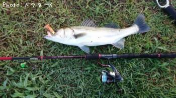 �����Х�