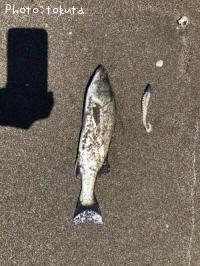 �����Х�