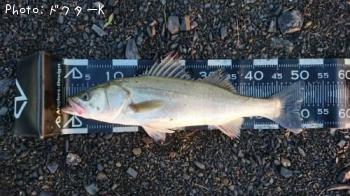 �����Х�