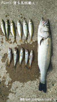 �����������������