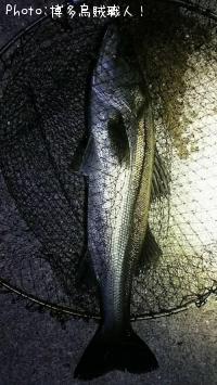 �����������������