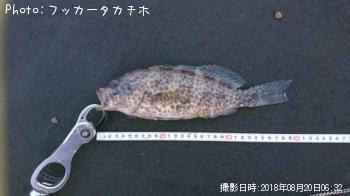 �������ϥ�