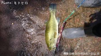 ¥ª¥ª¥¯¥Á¥Ð¥¹