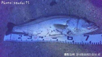 �����Х�