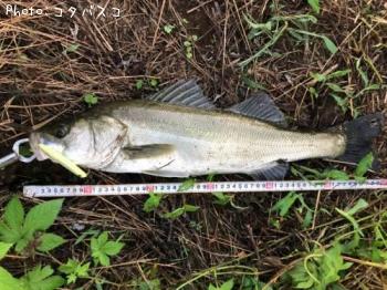 �����Х�