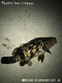 �����Υ���Х�