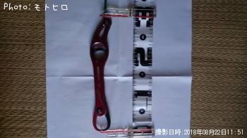 ¥ª¥ª¥¯¥Á¥Ð¥¹