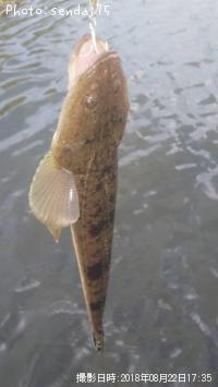 �ޥ���