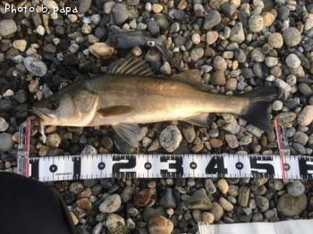 �����Х�