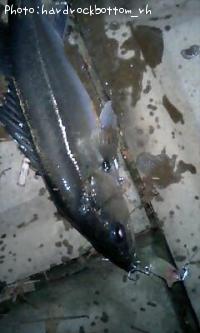 �����Х�