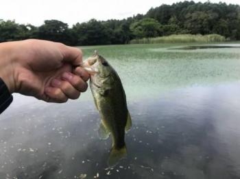 �֥�å��Х�