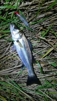 �����Х�