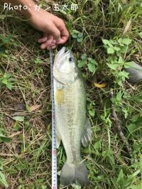 �֥�å��Х�