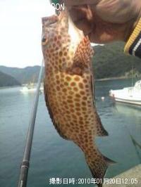 ¥ª¥ª¥â¥ó¥Ï¥¿