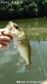 ¥Ö¥é¥Ã¥¯¥Ð¥¹