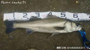 �����Х�