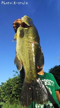 ¥Ö¥é¥Ã¥¯¥Ð¥¹