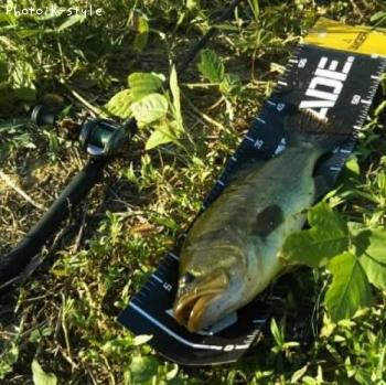 ¥Ö¥é¥Ã¥¯¥Ð¥¹