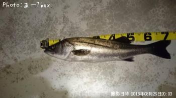 �����Х�