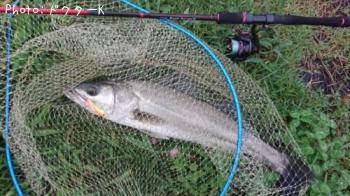 �����Х�