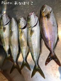 �參�������祴