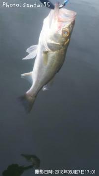 �����Х�