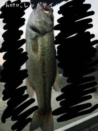 �֥�å��Х�