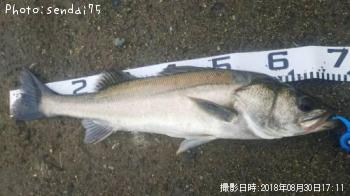 �����Х�