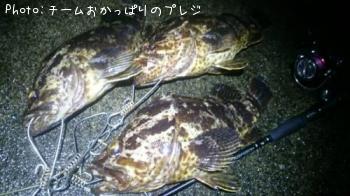 ¥¿¥±¥Î¥³¥á¥Ð¥ë