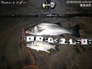 �ҥ饹����